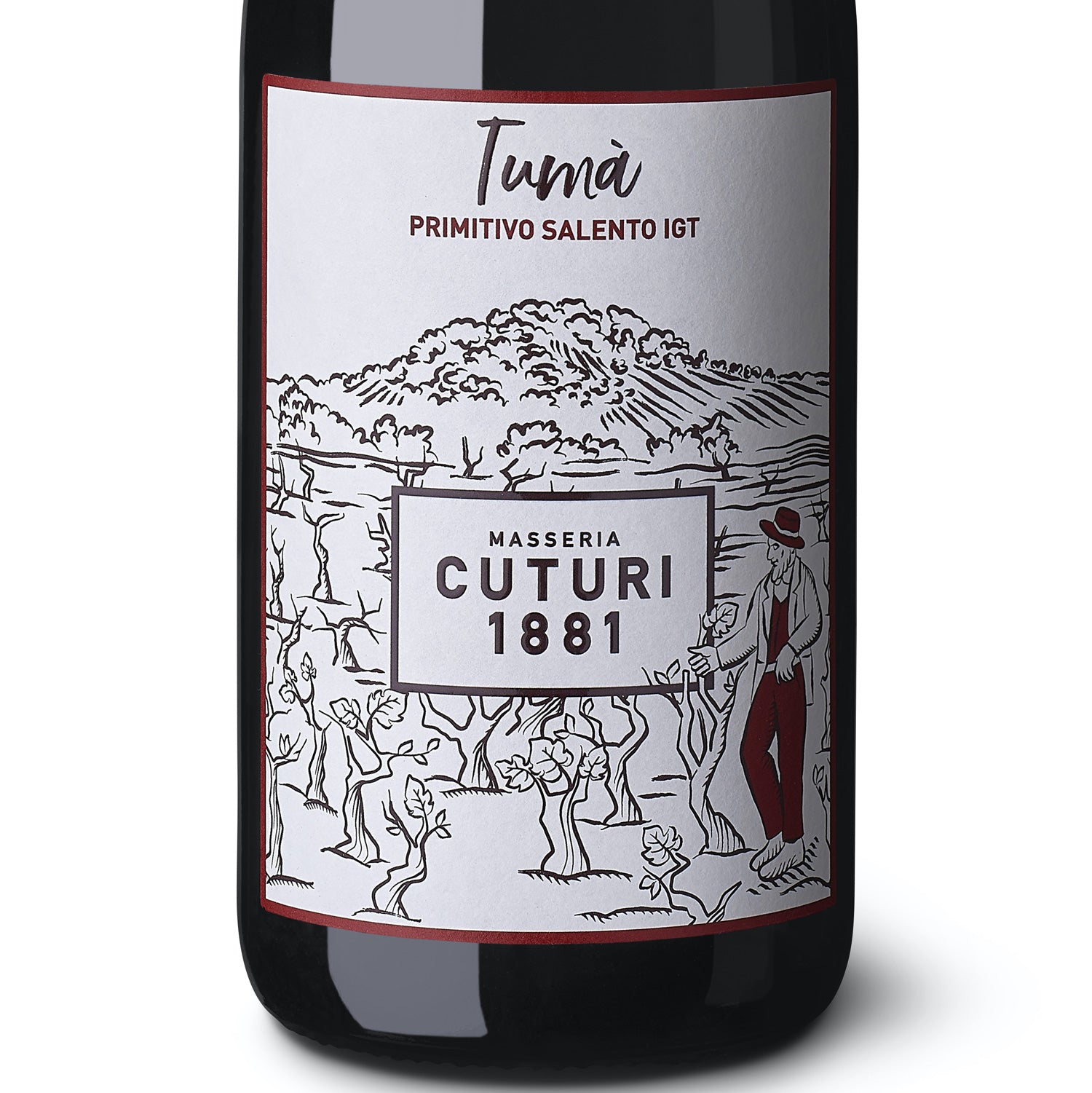 Cuturi 1881 Tuma Primitivo 2024
