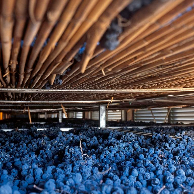 Trabucchi Amarone Della Valpolicella 2013 DOCG